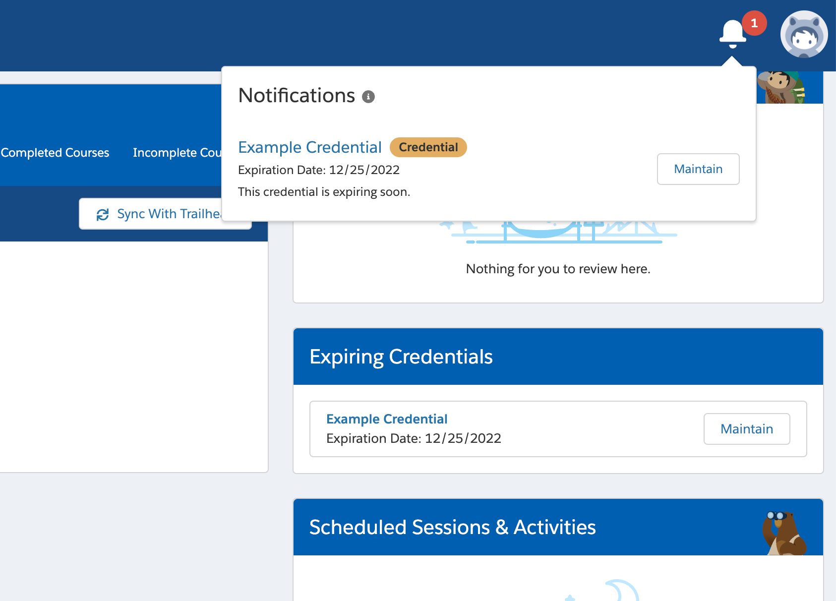 Consumer-Goods-Cloud-Accredited-Professional Prüfungsinformationen