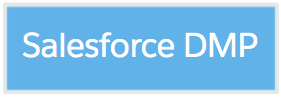 /s/Salesforce_DMP_Block.png?v=2