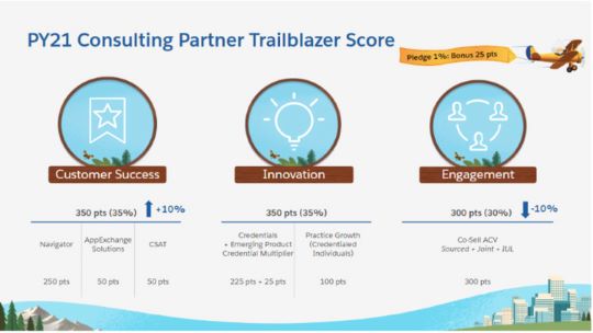 Consulting Partner Program