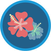 /s/trailhead_module_salesforce_ohana_culture.png?v=1